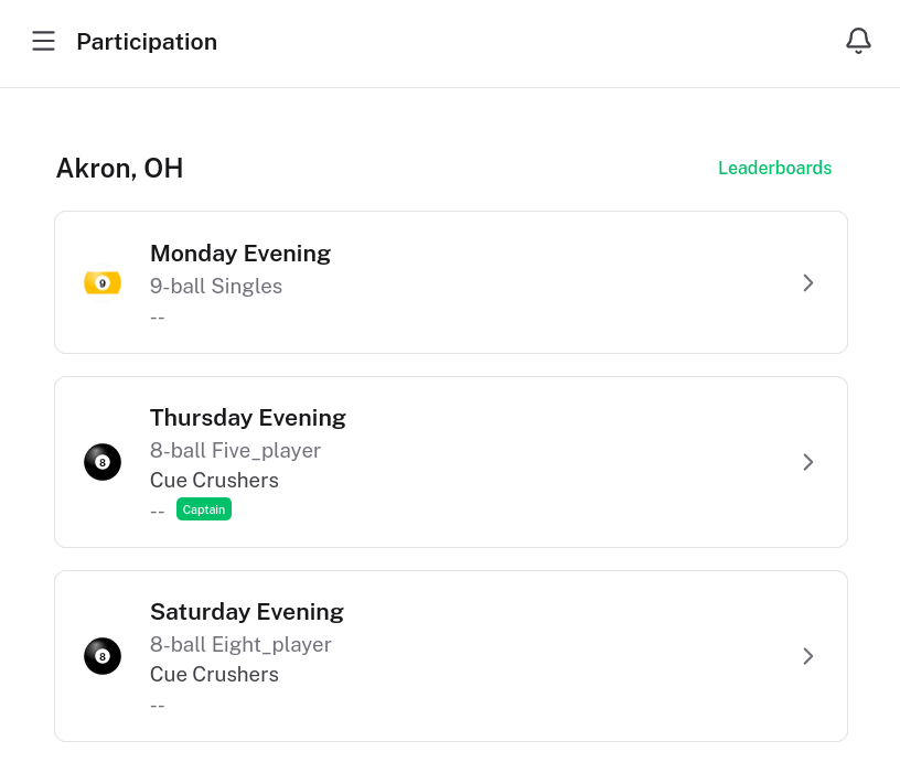 Participation page showing division cards with standings overview